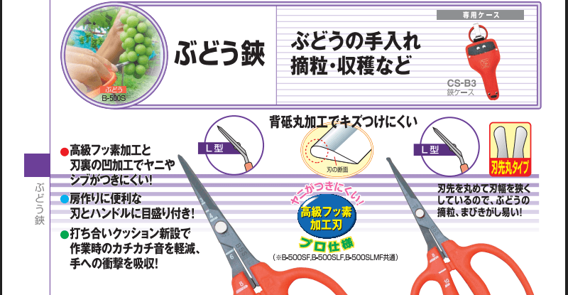 近正（チカマサ）の画像