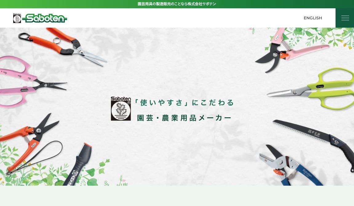 サボテンの画像