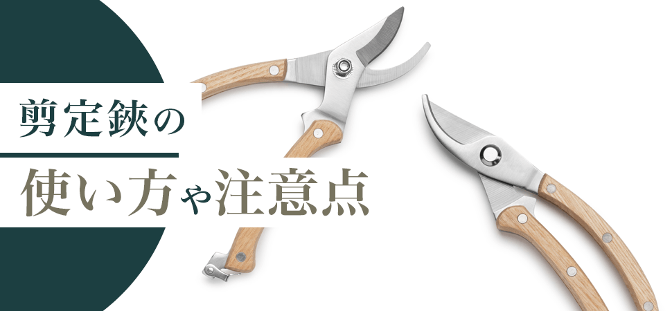 剪定鋏の使い方や注意点の見出し画像