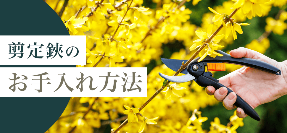 剪定鋏のお手入れ方法の見出し画像